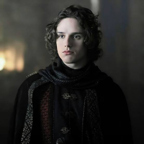 jacaelyx's tweet photo. streets say jacaerys velaryon is the most puppyful boy to ever exist https://t.co/EtVxtWCqOD
