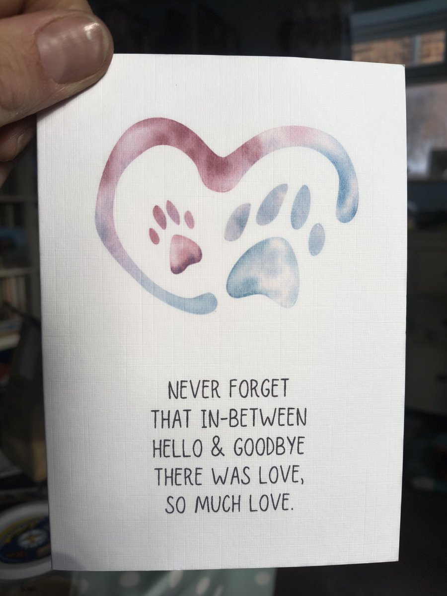 RabbitNeil's tweet photo. The vets that tried their best to help Neil &amp; where we said goodbye sent us a lovely card a few days after his death. I wanted to let the other where he regularly had his teeth done know. I commented on their social media, they replied with a lovely message &amp; sent this card 🥺 https://t.co/Xe3Olsdch2