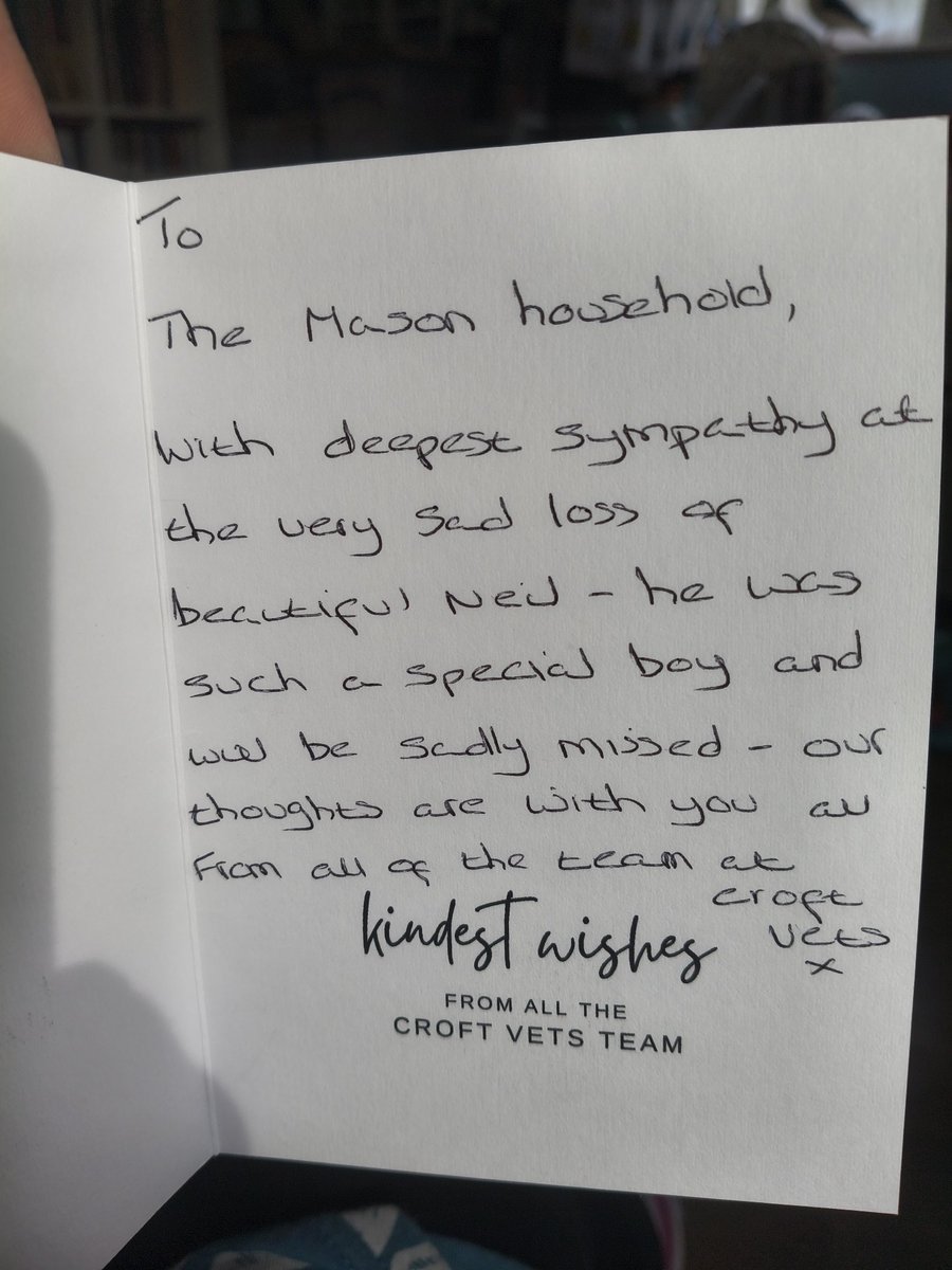 RabbitNeil's tweet photo. The vets that tried their best to help Neil &amp; where we said goodbye sent us a lovely card a few days after his death. I wanted to let the other where he regularly had his teeth done know. I commented on their social media, they replied with a lovely message &amp; sent this card 🥺 https://t.co/Xe3Olsdch2