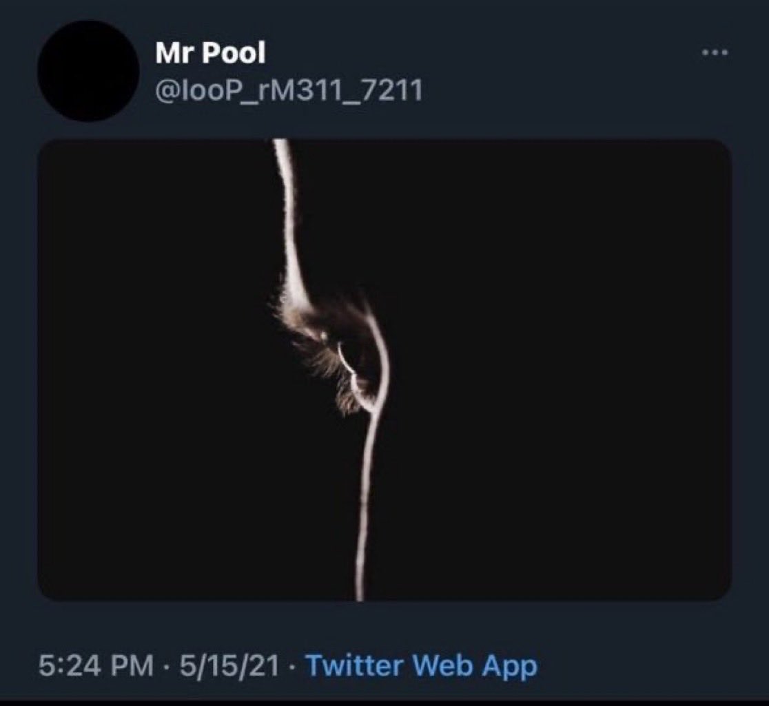 AltarOfEgo 🪐 tweet media