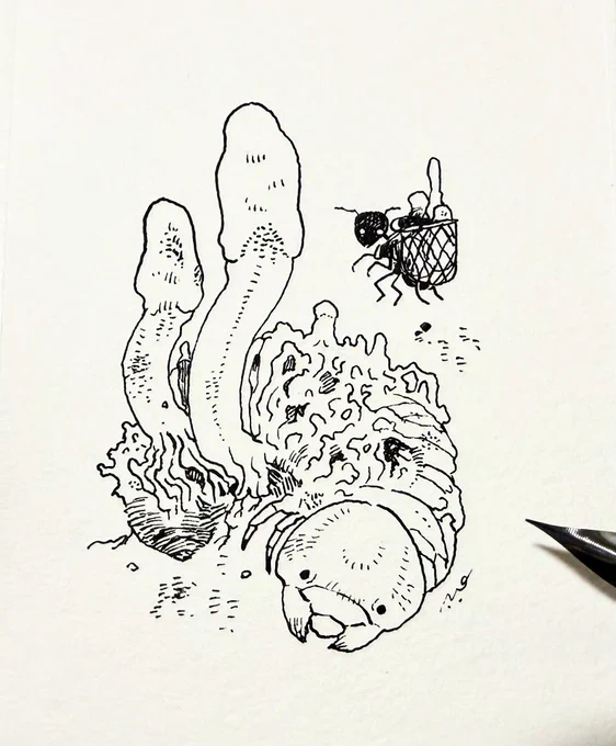 ムシタケ山

(お題「冬虫夏草)より」 
