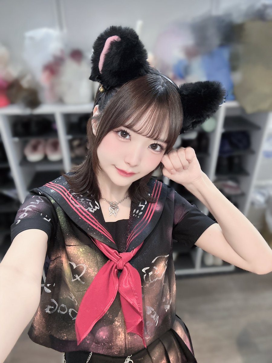 にゃんここすきちゃん やんきーにゃんこ^ ̳ ̫ ̳ ^ ⟆🐟