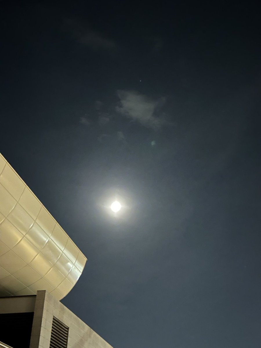 utadeco's tweet photo. こう見えて、半月🌓なんですよ https://t.co/sf2lKCG1ru