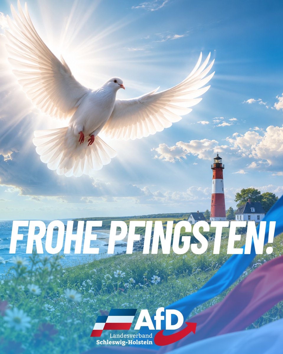 AfD Schleswig-Holstein tweet media