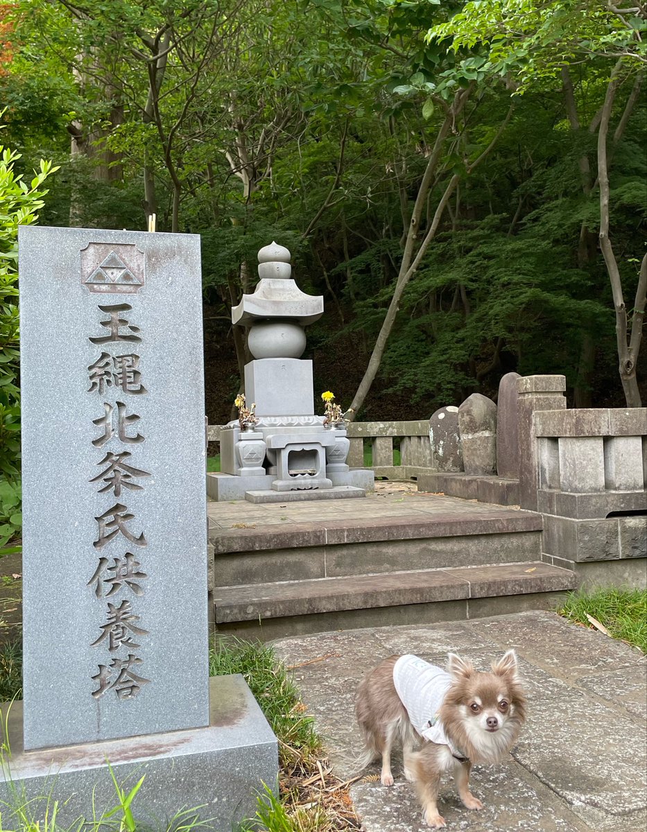 Aobyebye1's tweet photo. 玉縄城🏯
早雲が開城、玉縄北条、本多正信、幕府直轄、新井白石などが治めた、僅かな痕跡を探索するのが楽しいよね😃 https://t.co/Pd9SoJ28dr