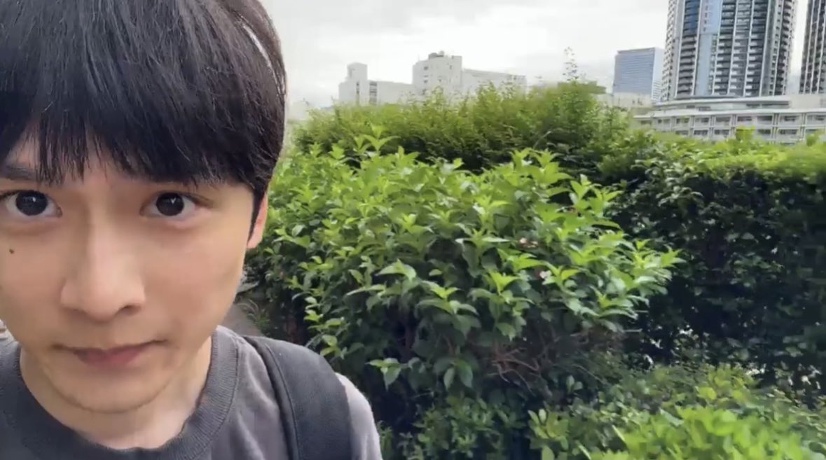まろ tweet media