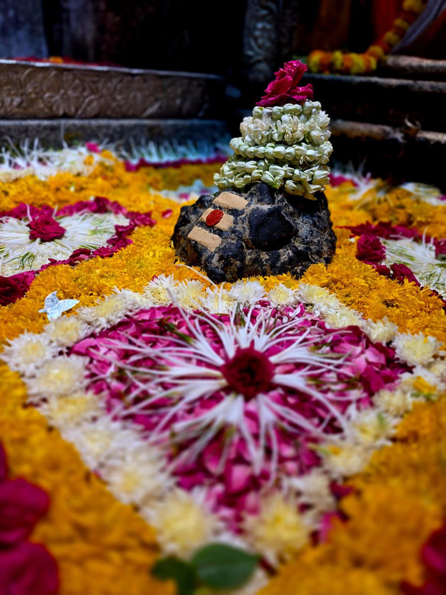12Jyotirling's tweet photo. श्री ॐकारेश्वर ज्योतिर्लिंग संध्याकालीन आरती श्रृंगार | 24.05.2026

Shri Omkareshwar Jyotirlinga Evening Aarti Shringar | 24.05.2026 https://t.co/PvFG9evYZV