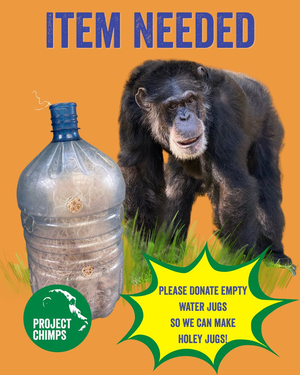 Project Chimps tweet media