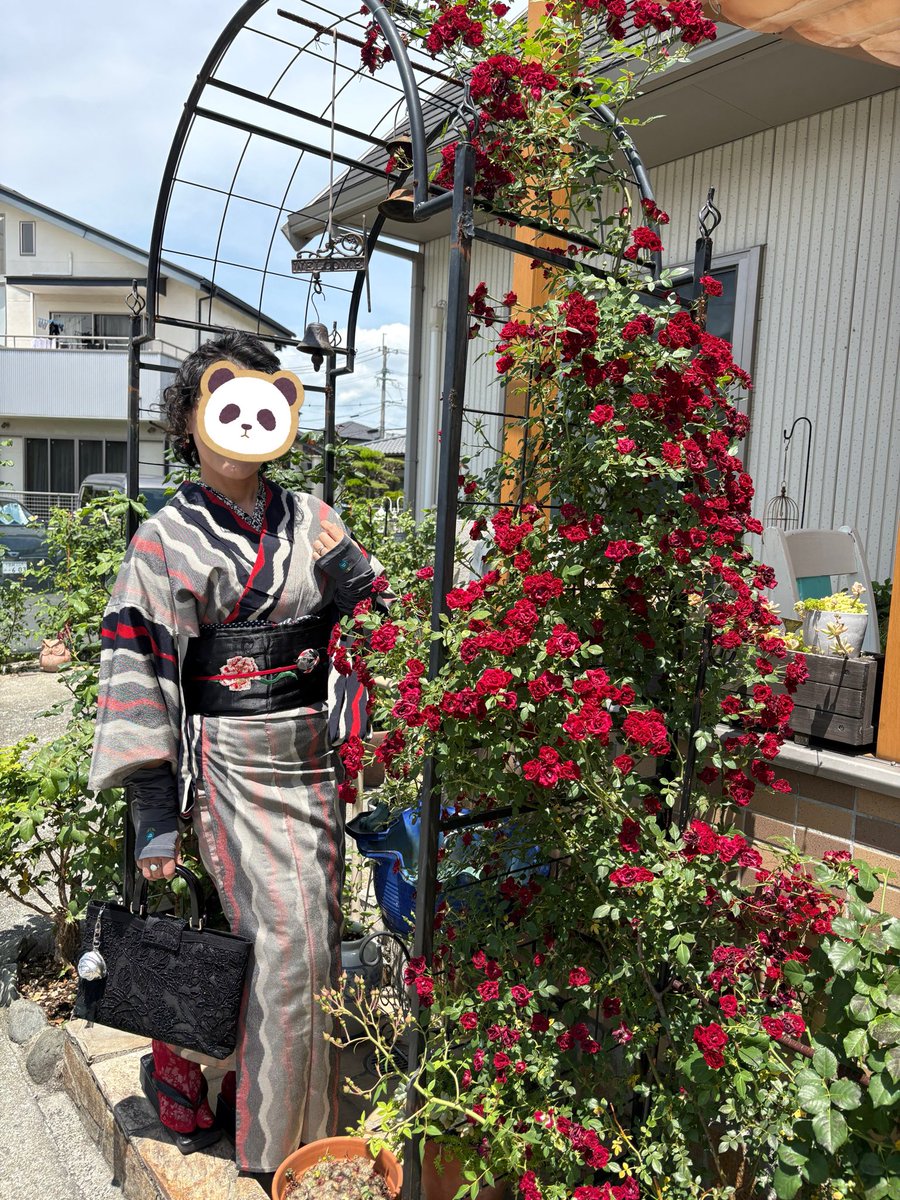 やぎめえ tweet media