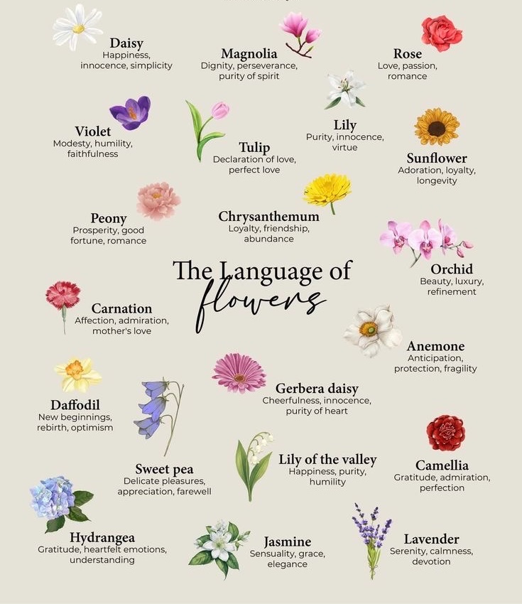 elitearenaa's tweet photo. Which is your favorite? https://t.co/s2BG7JBX0S
