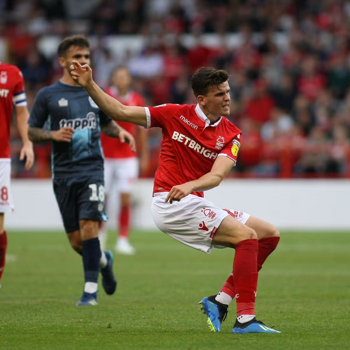 Former Forest Tracker tweet media