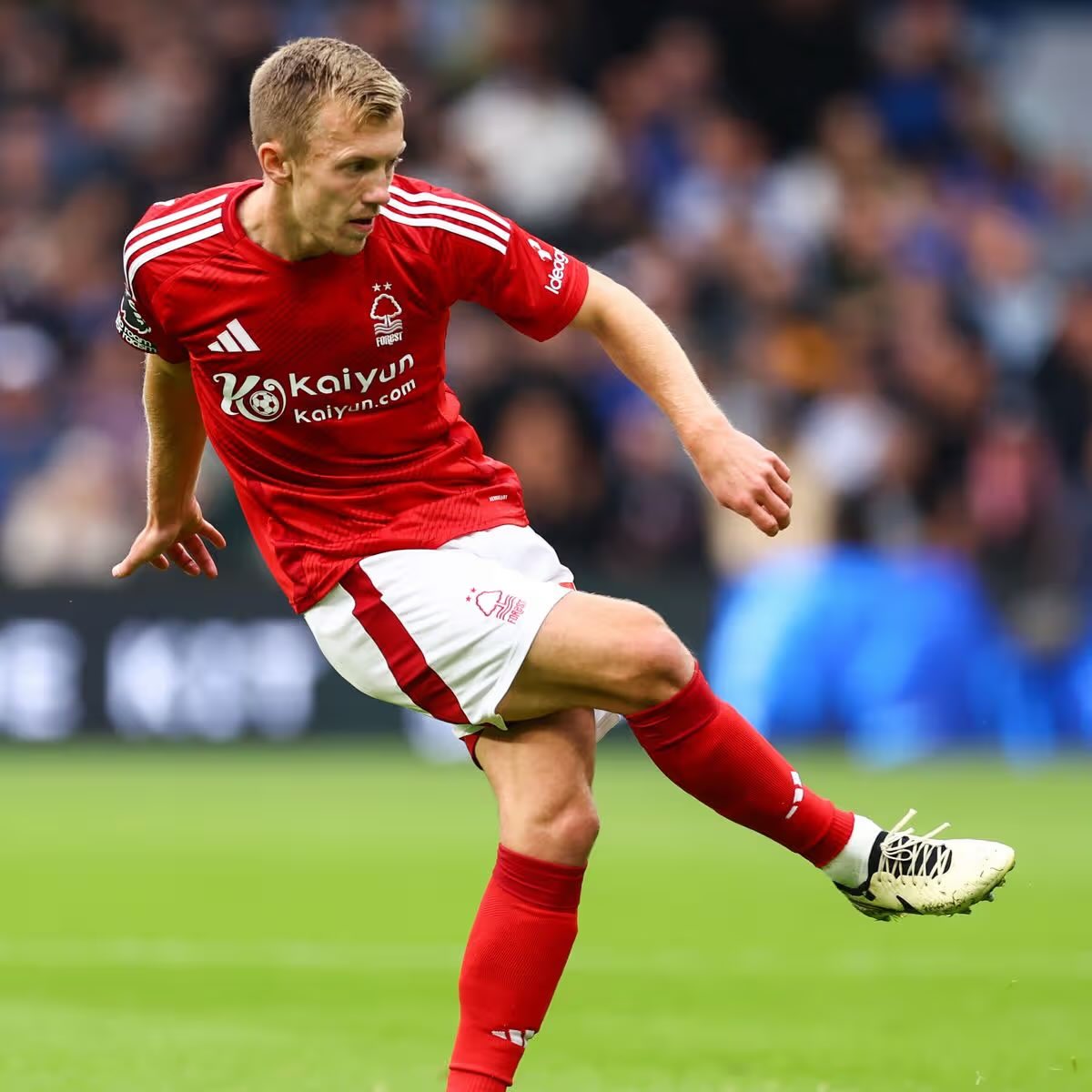 Former Forest Tracker tweet media