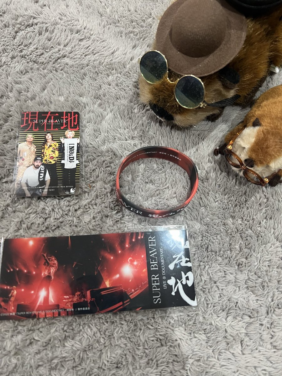 ryuta_beaver's tweet photo. やっと明日　行きます🦫　楽しみ❤️ https://t.co/LpJbmKKU3w