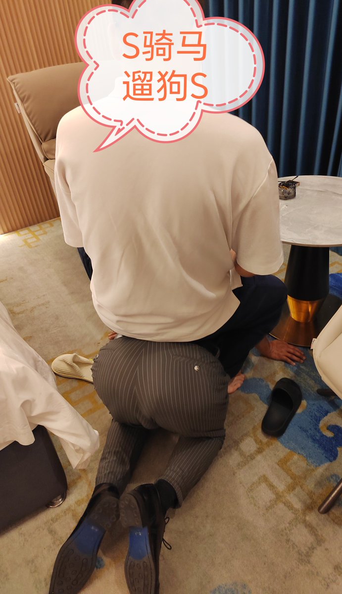 骑马遛狗S tweet media