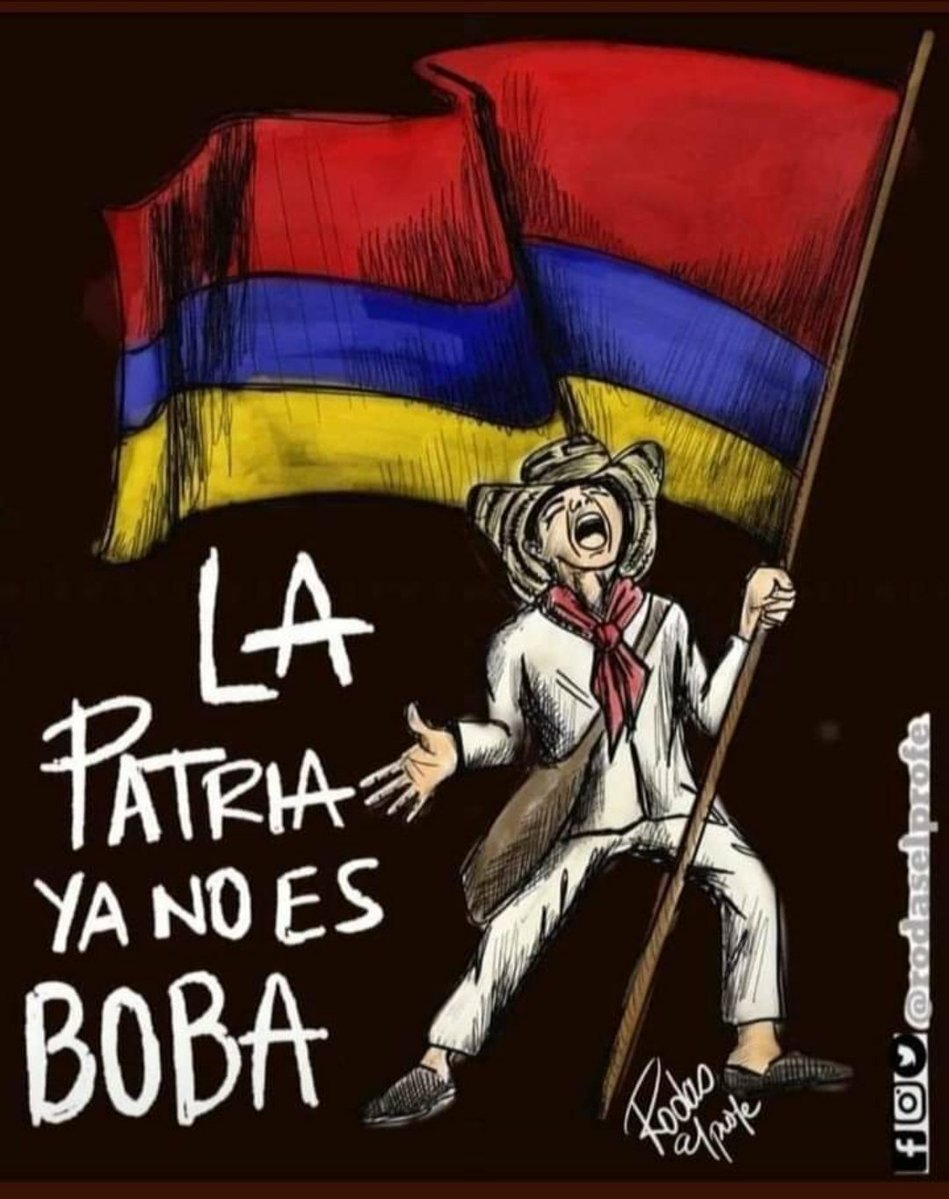 Alexander Herrera Castillo 🐦🌐❄️🗨️🥑🐝🇵🇸 tweet media