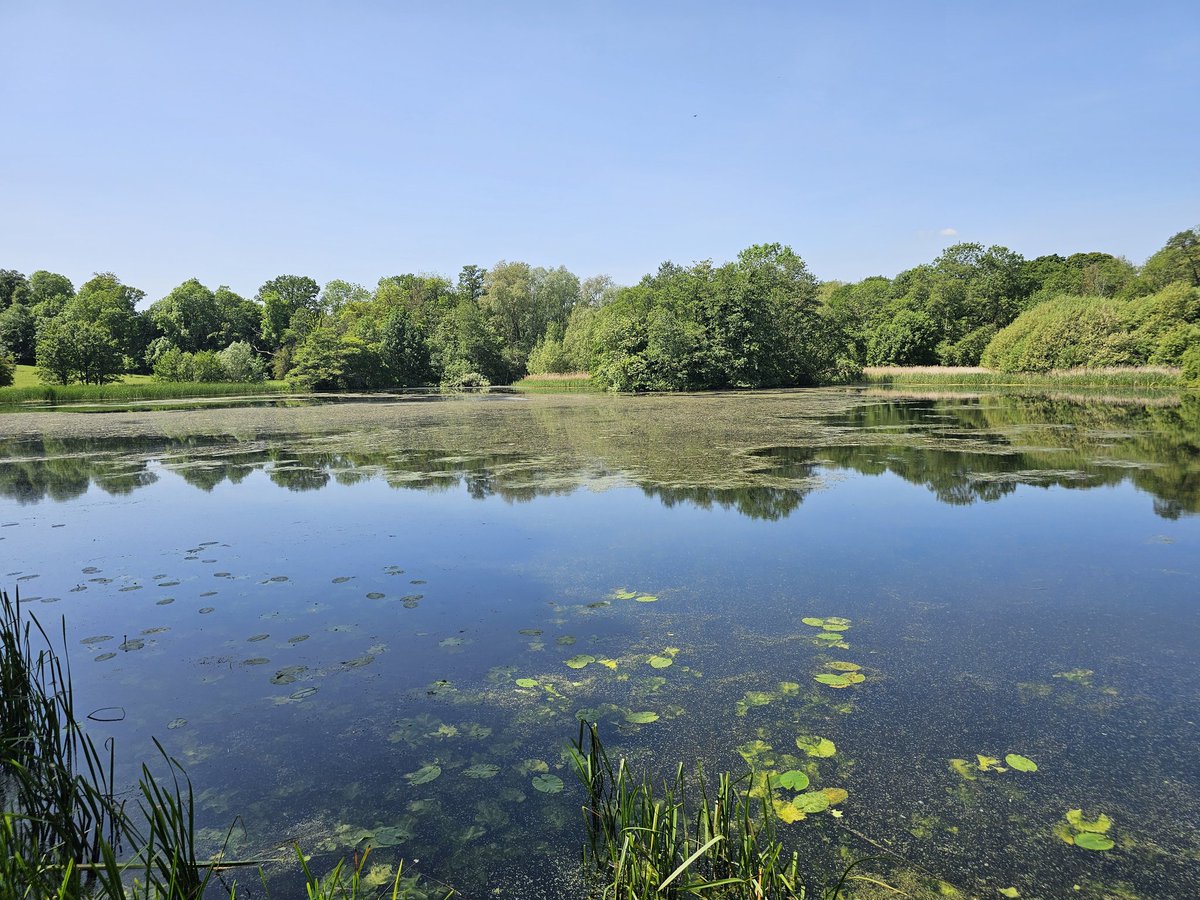 macker100's tweet photo. Out and enjoying the great weather. A sunny Sunday trip to Wimple Hall and grounds. Just the odd 6.5 miles around the place. Definitely need some light refreshments now. https://t.co/OE0MnW81JJ