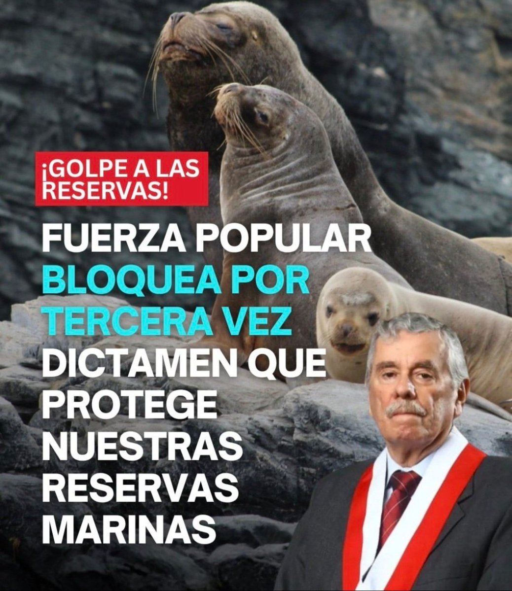 Roy Alta_peru tweet media