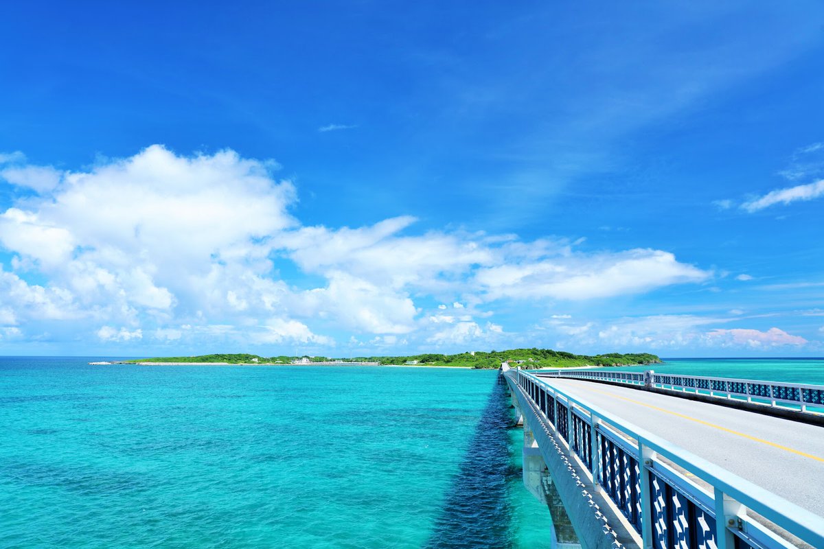 極上の沖縄 -okinawa- tweet media