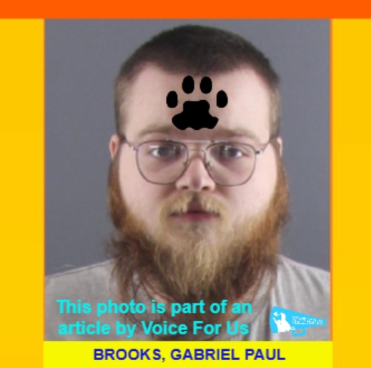 VoiceForUs_'s tweet photo. - Illinois, USA -
GABRIEL PAUL BROOKS accused of striking to death three of his girlfriend’s cats with a hammer
https://t.co/Gx7bn58r2B https://t.co/KCSWYfGI7c