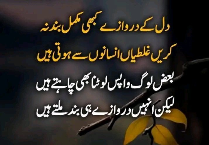 Ayan Khan tweet media