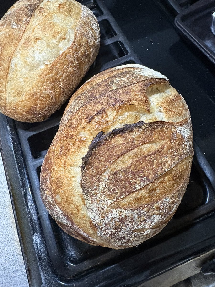 Saltea Kichee 🍞🧋| Baking VTuber tweet media