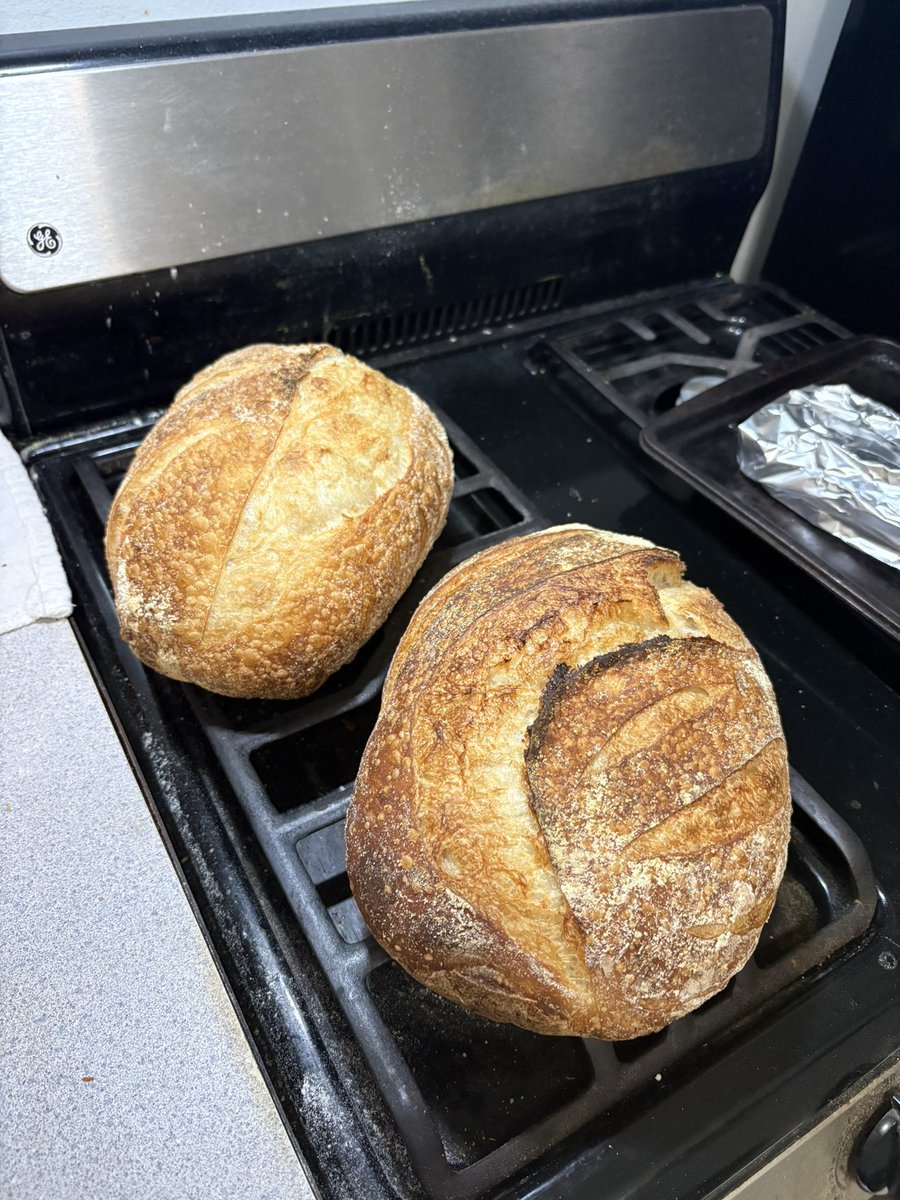 Saltea Kichee 🍞🧋| Baking VTuber tweet media