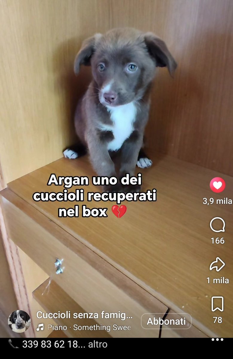 giuseppe esposito tweet media