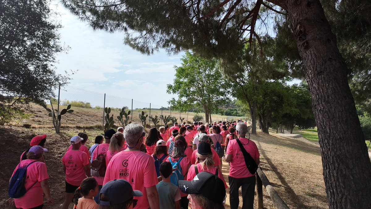 Partido Popular de Alcalá de Guadaíra tweet media