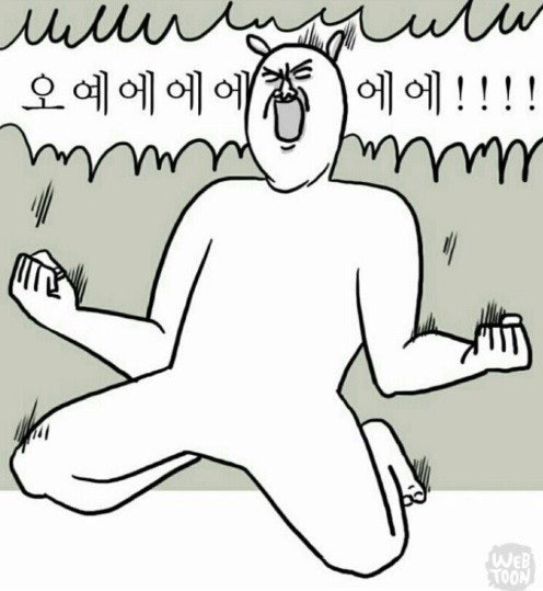 다다🐯🐱 tweet media