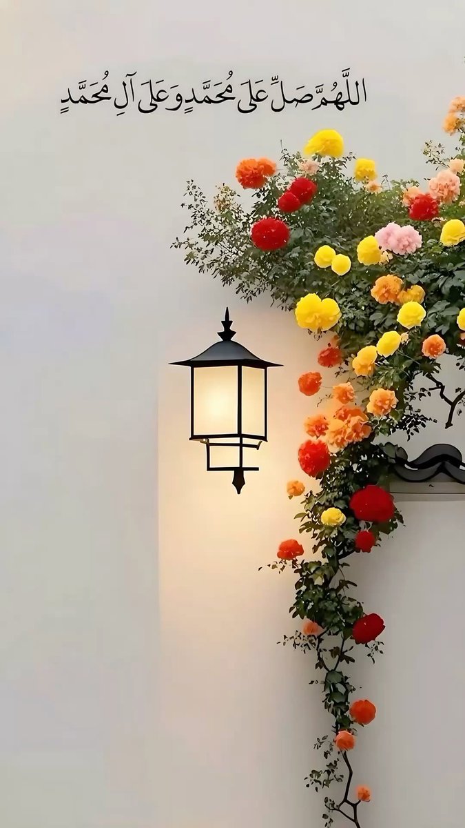 رووووح 511 ..🩵🦋 tweet media