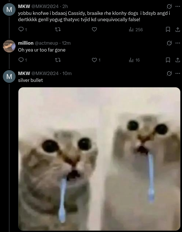 🐱 tweet media