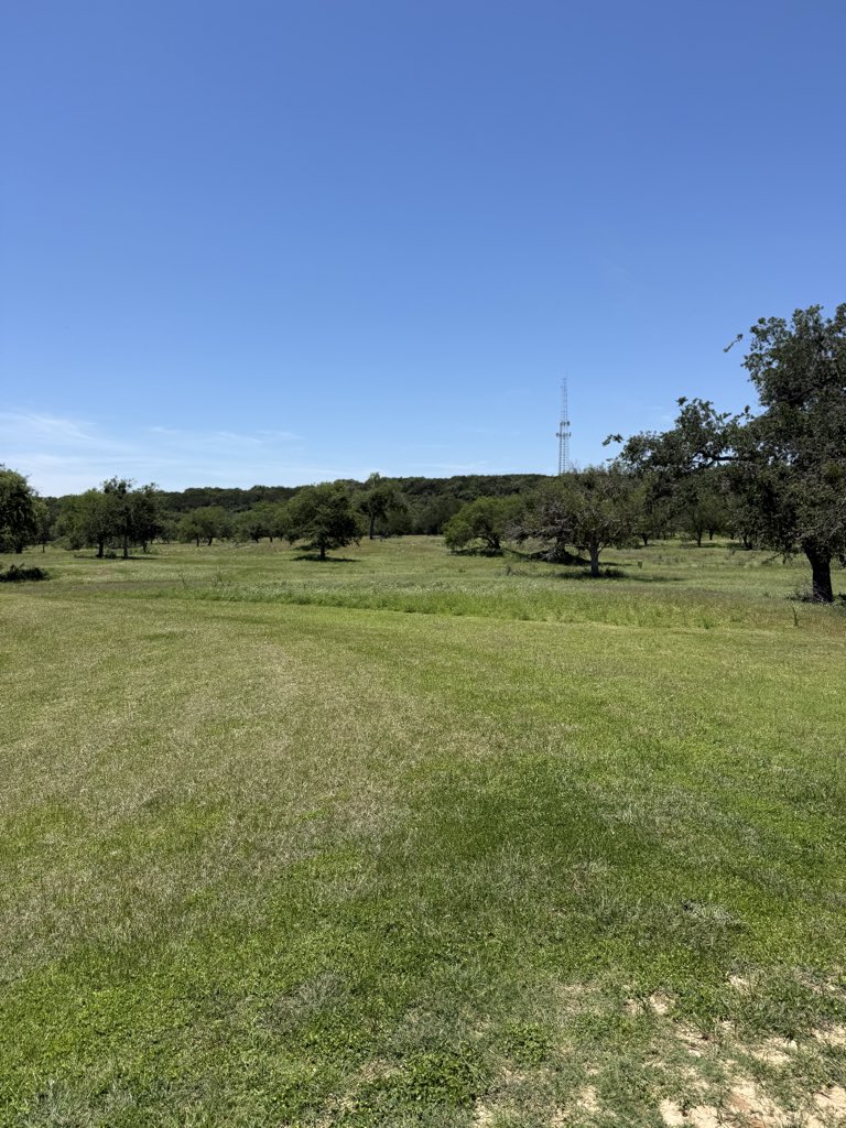 chompchomp15's tweet photo. Working on a 9 hole design build par 3.  
First hole, hard to see it but there’s a massive hill behind and to the left of the green. Should be a fun backstop. 
The green is shared with the 8th green and wraps around the oak. https://t.co/Uvpy29AOvQ