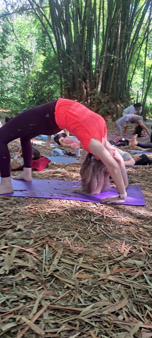 IndiainDR's tweet photo. La primera actividad de presentación del Día Internacional de la Mujer 2026 fue organizada por Mission en el emblemático Bosque de Bambú del Jardín Botánico. Alrededor de 100 participantes asistieron a las sesiones de yoga en la exuberante sección de Jardines Japoneses del recinto.
______________________________________________

The first Curtain Raiser for IDY 2026 was organised by Mission at the iconic Botanical Gardens Bamboo Forest. Around 100 participants attended the yogasana sessions in the lush Japanese Gardens section of the Venue.

#IDY2026 #Curtainnraiser @MEAIndia @PIB_India  @mygovindia  @iccr_hq
