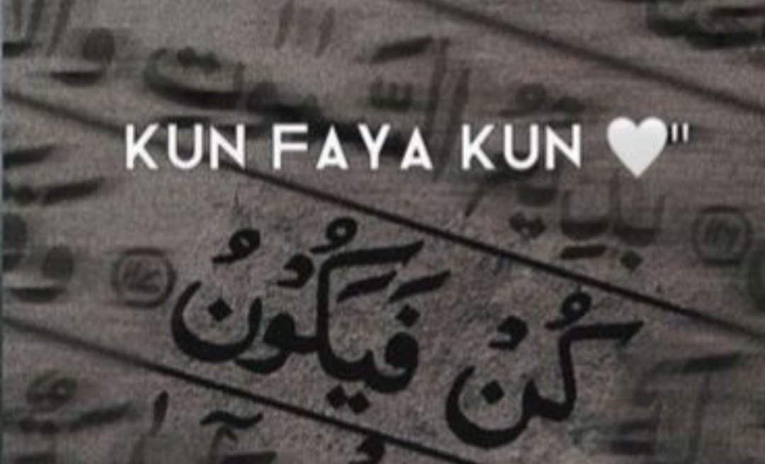 Fatima sabs💞 tweet media