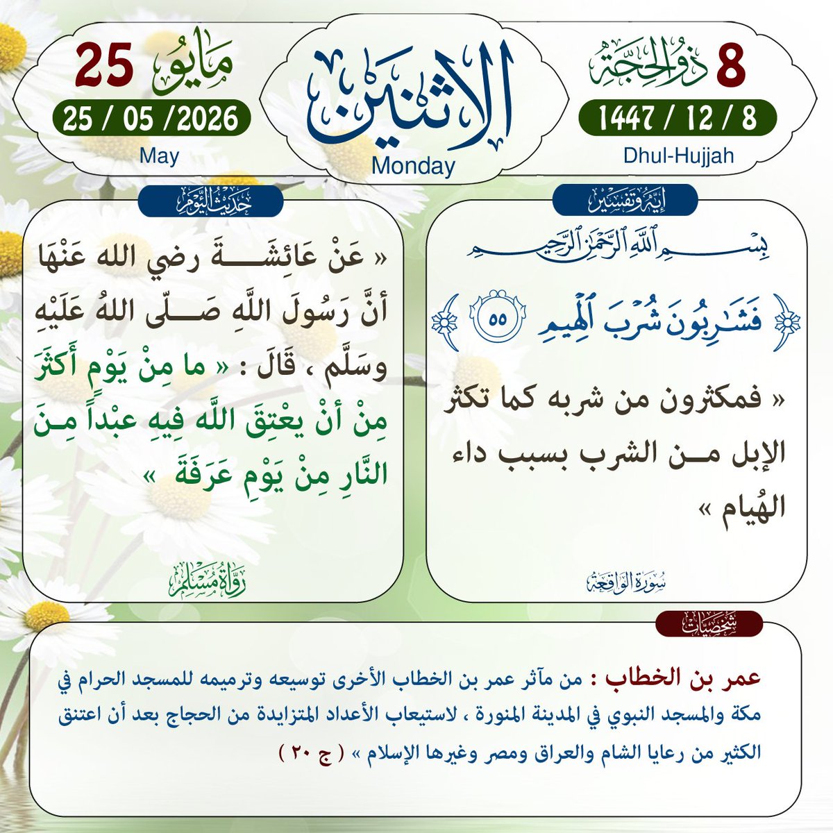 @almakhabatayn tweet media