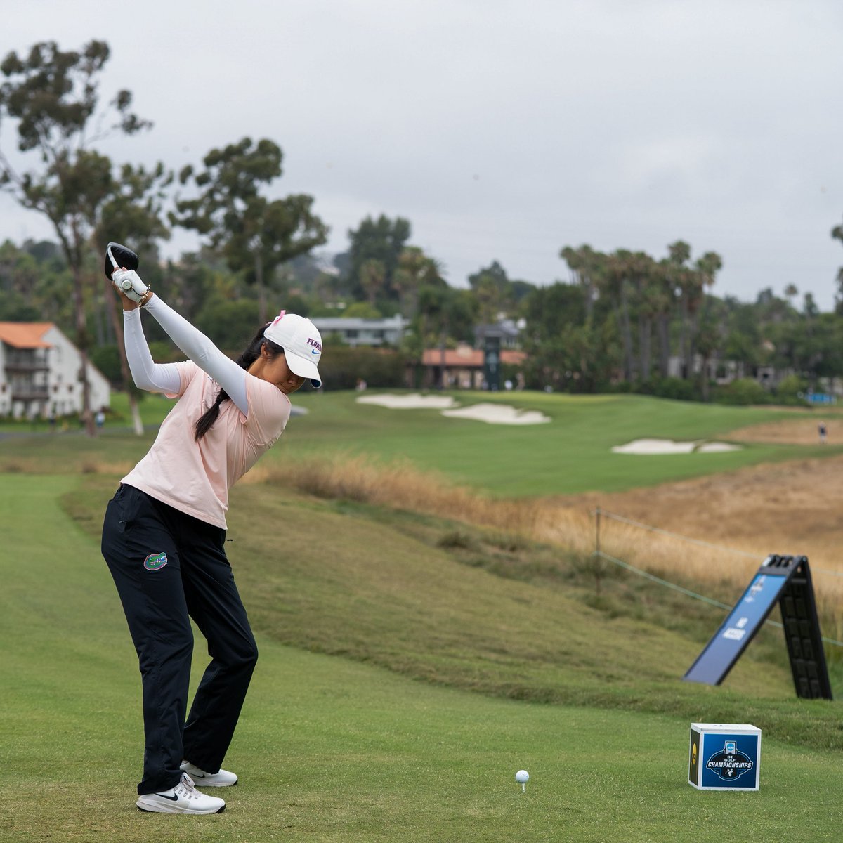 Gators Golf tweet media