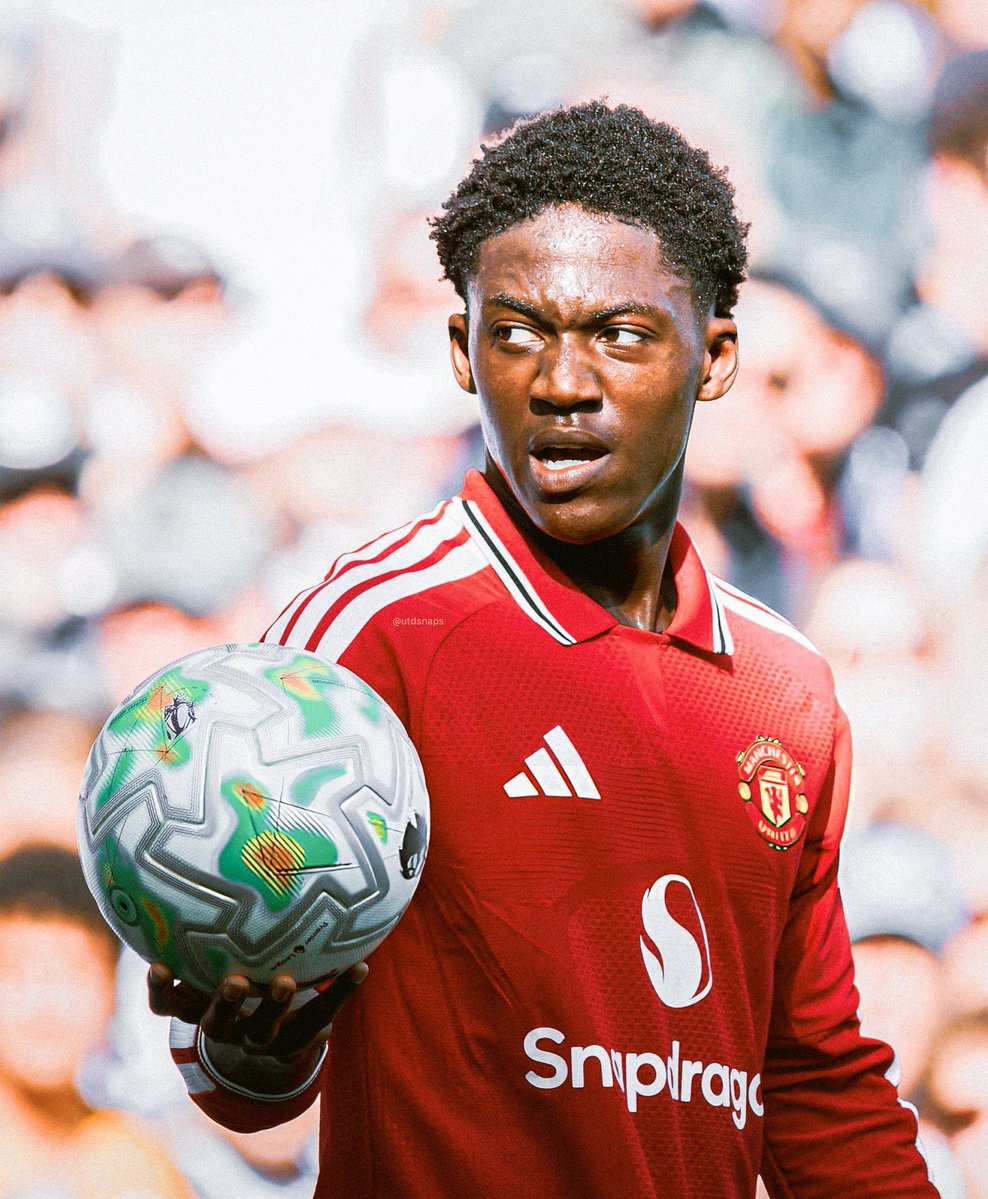 (fan) Frank 🧠🇾🇪 tweet media