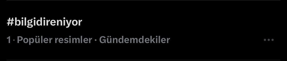 Gülsu Çidem tweet media