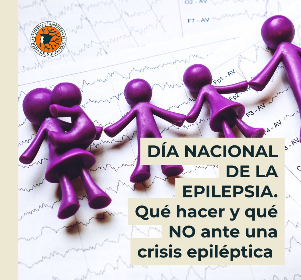 RarasNoInvisibles tweet media