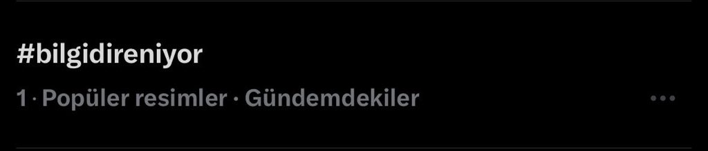 Gülsu Çidem tweet media
