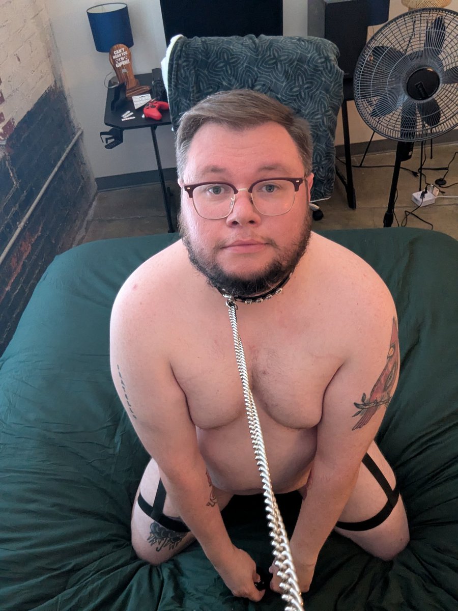 altdiscobear tweet media