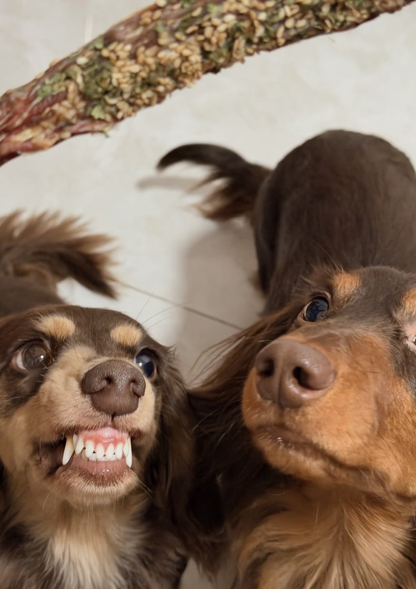 twaniimals's tweet photo. https://t.co/qrAabN20a7