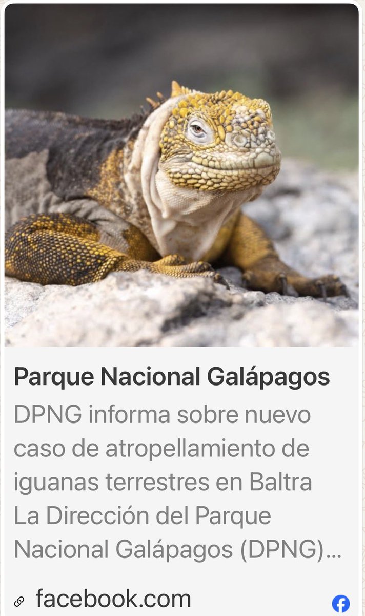 BitacoraAmbiental tweet media