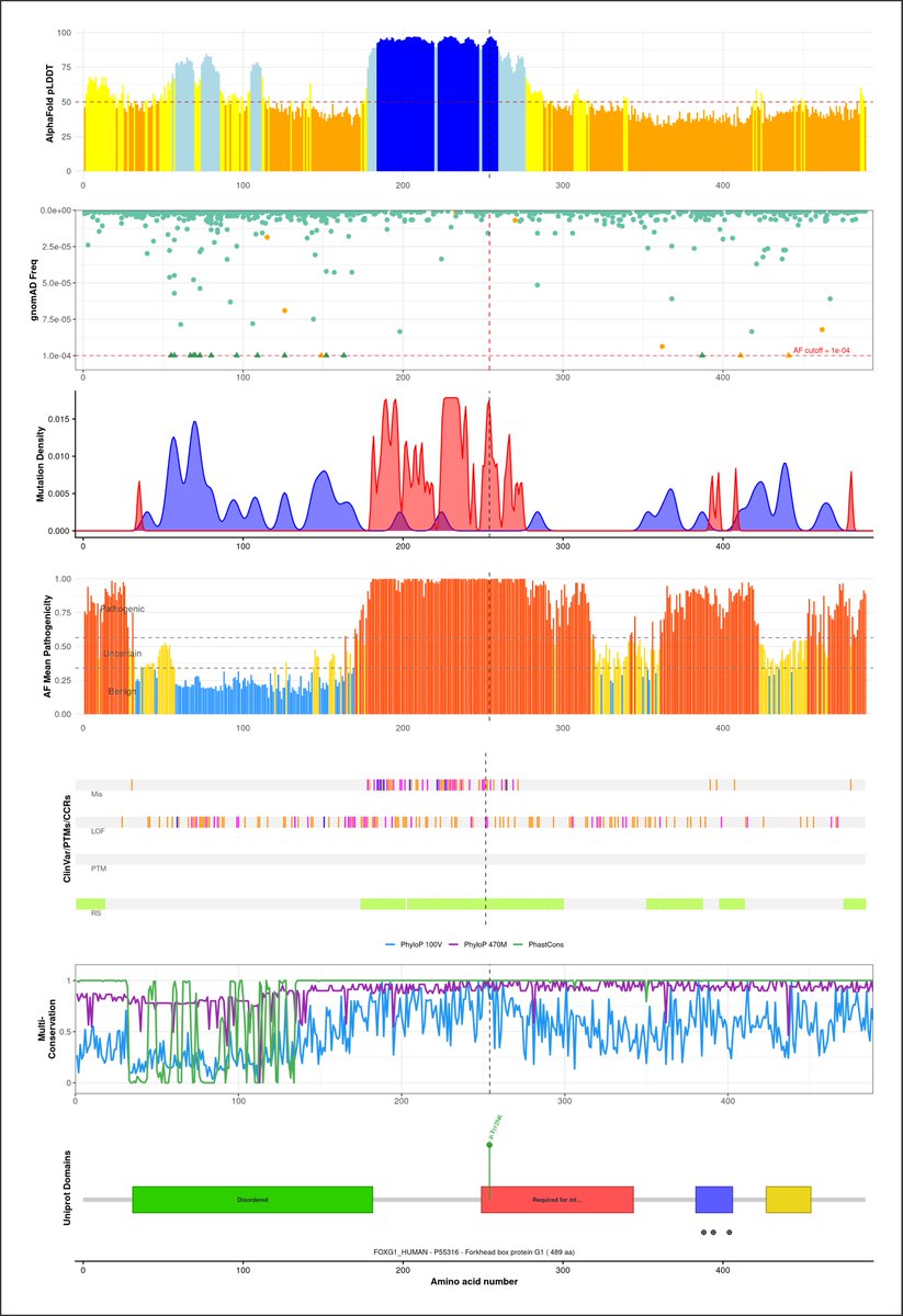 Itzaggu's tweet photo. Li et al. discovered a novel FOXG1(p.Tyr254Cys) variant that causes congenital male Rett syndrome in a 6-year-old. Also highlights microcephaly and intellectual disability as key clinical features of this condition.
https://t.co/Q4OUBYN6W1 #Rettsyndrome #FOXG1 https://t.co/6CJu3QCQyx