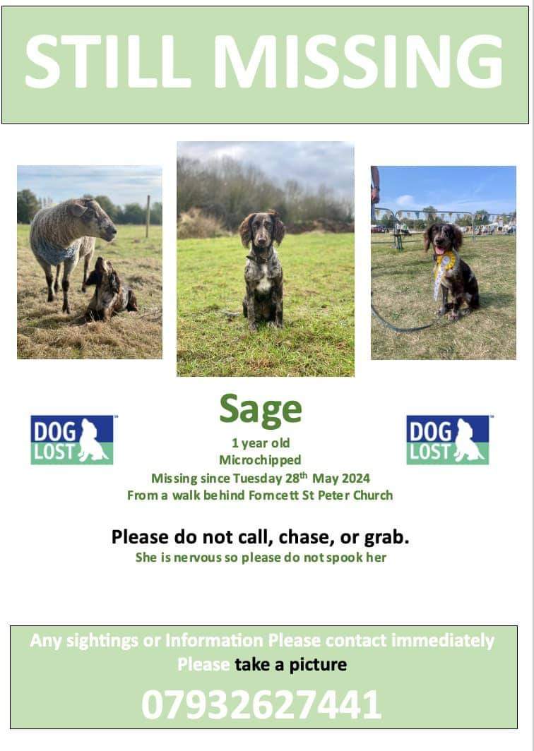 Missing Pets GB tweet media