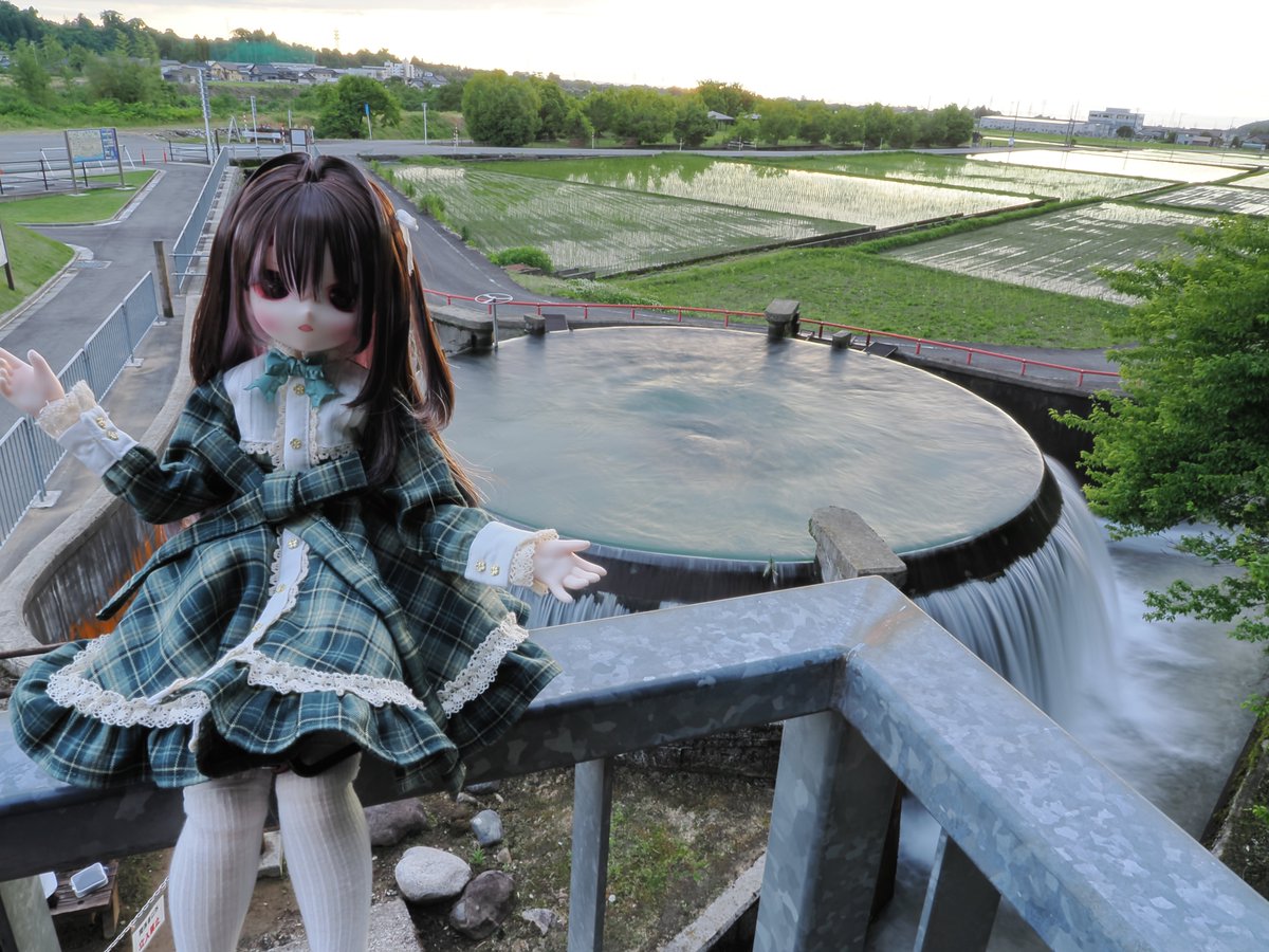 テッド tweet media