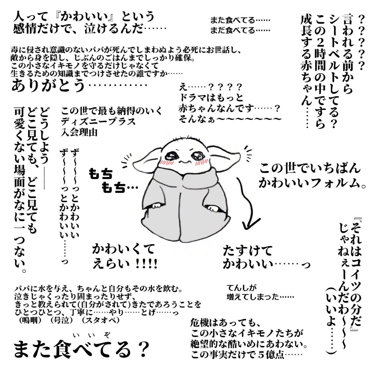ほしの🐿 tweet media