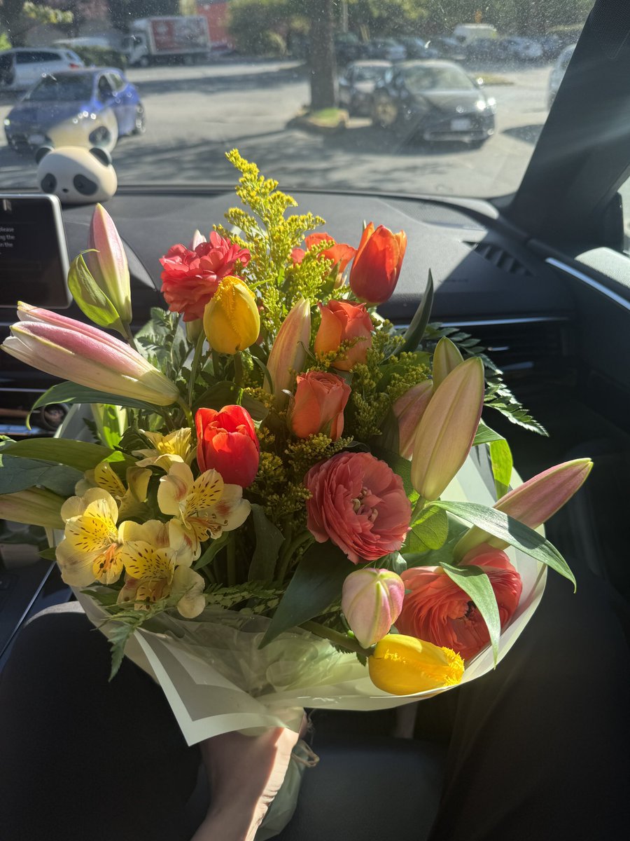beforesummerrr's tweet photo. flowers in May so far 🧚‍♀️ https://t.co/S9oggiecYx