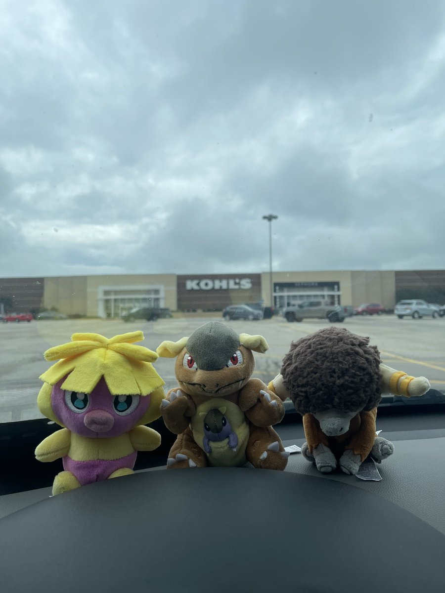 RollBro!🔜 Pokemon Indy Regionals tweet media