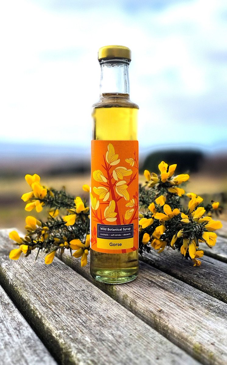 HighlandBndry's tweet photo. Looking for something different as a drink this Summer.  Check out our Gorse Wild Scottish Syrup. The gorse flowers bring a fruity and fresh flavour. Perfect with still or sparkling water and a wonderful ingredient in mocktails and cocktails. Release your wild side this Summer. https://t.co/JCilfDfe2K